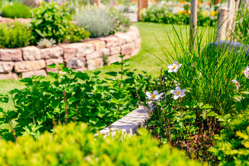 Flower bed with green lawn and herb spiral made of bricks for a small garden