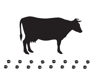 Cow silhouette and cow trail and track isolated on white background. For farm animals concept design. Mammals animals paw print. Black silhouette cow. Cattle.