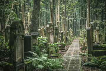 Old tombs in Jewish cementary in Warsaw, Poland in spring  time.