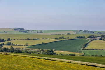 An idyllic view over fields in Sussex on a sunny evening