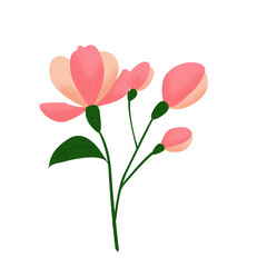 Pink Blossom flower Branch Cute Hand Drawn Cartoon Clip art Illustration and Artwork Design Element