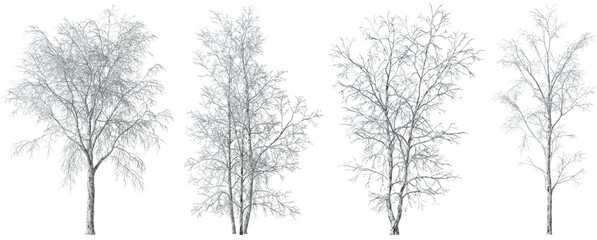Fototapeta na wymiar Winter trees snow frosted covered 3d render cutout png