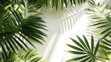 Palm leaf shadow overlay effect. background with tropical leaves shadows. White background, flat lay, top view. 3d render generative ai.