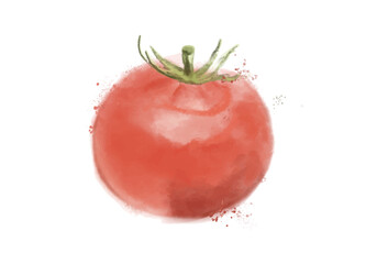 Tomatoes drawn in watercolor style Can be made into patterns for fabric, paper, etc.