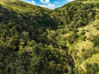 Fototapeta na wymiar Incredible Nature landscape - region Monteverde - Costa Rica