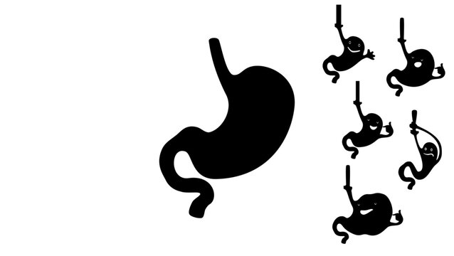 Human Stomach Silhouette