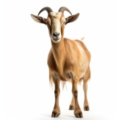 Goat Isolated on White Background. Generative AI