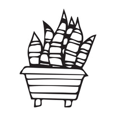 flowers in the pot. doodle art. on a white background. vector drawing. indoor flowers of different types. black and white color of the drawing. petals and flowers. shaped flower pots.