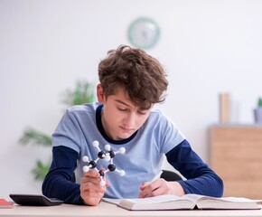 Schoolboy looking at molecular model at home