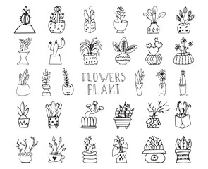 set of flowers in the pot. doodle art. on a white background. vector drawing. indoor flowers of different types. black and white color of the drawing. petals and flowers. shaped flower pots.