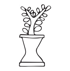 flowers in the pot. doodle art. on a white background. vector drawing. indoor flowers of different types. black and white color of the drawing. petals and flowers. shaped flower pots.