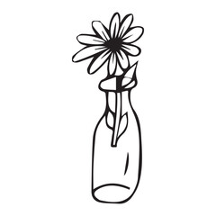flowers in the pot. doodle art. on a white background. vector drawing. indoor flowers of different types. black and white color of the drawing. petals and flowers. shaped flower pots.