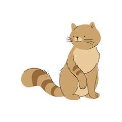 Cute Cat Character Cartoon