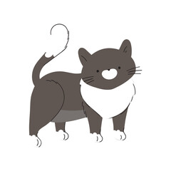 Cute Cat Character Cartoon