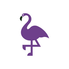 Flamingo bird icon 