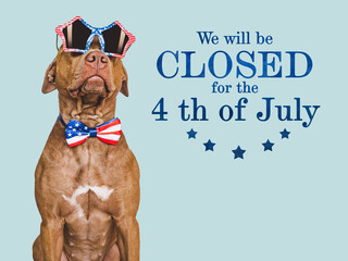 Signboard with the inscription We will be closed for the 4th of July. Cute brown puppy. Closeup,...
