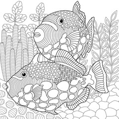 Underwater scene with a triggerfish. Adult coloring book page with intricate mandala and zentangle elements.