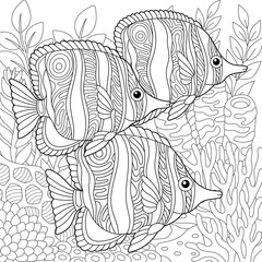 Underwater scene with a school of butterflyfish. Adult coloring book page with intricate mandala and zentangle elements.