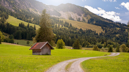 Fototapeta na wymiar Wooden barn landscape in the Alps, Bavaria Germany.