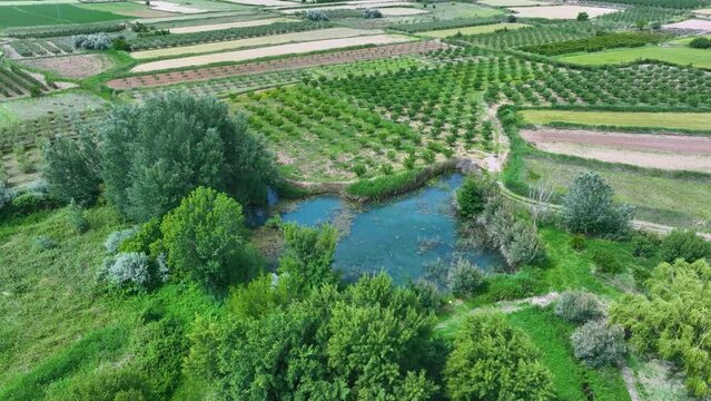 Aerial view from a drone of the wetland in the Ojos del Pontil natural space in Rueda de Jal&oacute;n. Valdejal&oacute;n region. Saragossa. Aragon. Spain. Europe
