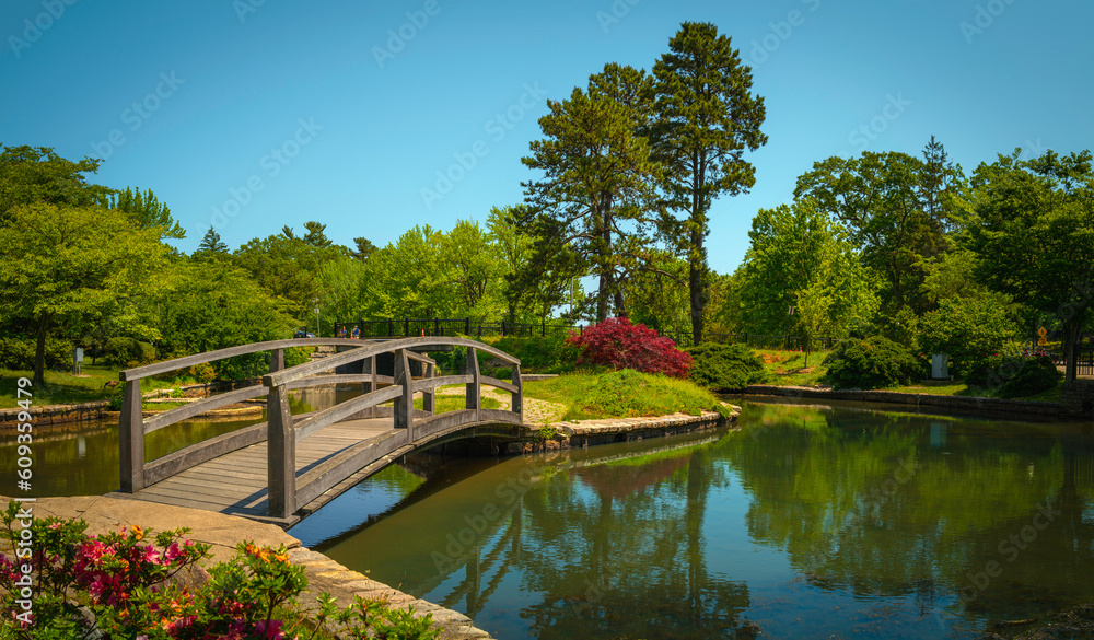 Wall mural wooden footbridge leading to a small landscaped island in a pond