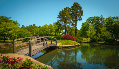 Fototapeta na wymiar Wooden footbridge leading to a small landscaped island in a pond