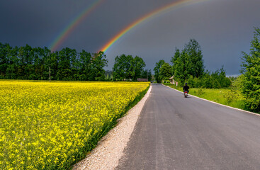 Countryside and agricultural landscape with rainbow over the road and field of blossoming rapeseeds