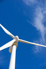 Wind turbine generator for sustainable electricity production