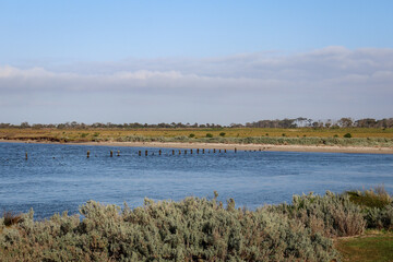 coastal landscape with remains of old pier in sea