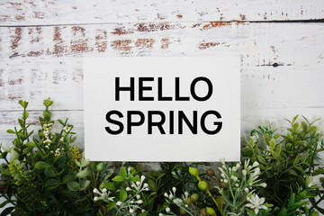 Hello Spring text message with green leaf on wooden background