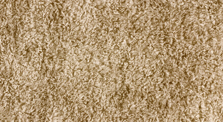 beautiful beige rug