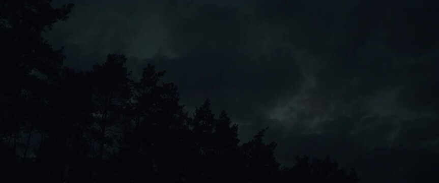 Dark clouds over the forest at night