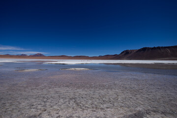 Laguna salina Hedionda altopiano boliviano con fenicotteri rosa