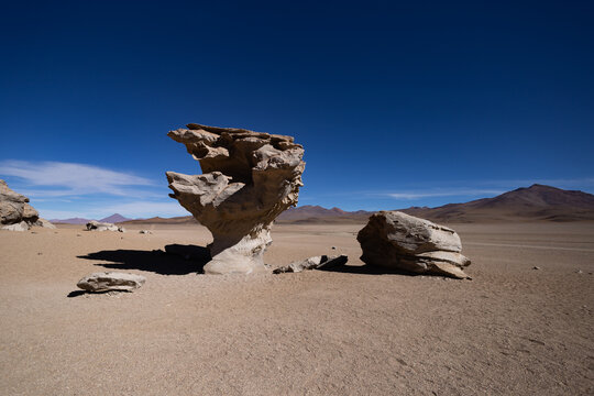Albero di pietra nel deserto Salvador Dal&igrave; Siloli in Bolivia