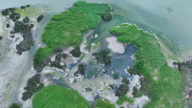 Aerial view from a drone of the spring landscape in the Estanca de Borja. Borgia. Saragossa. Aragon. Spain. Europe