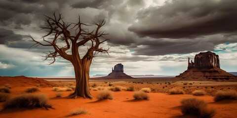 Beautiful living lonely tree in hot desert surrounded by sand and low cliffs
