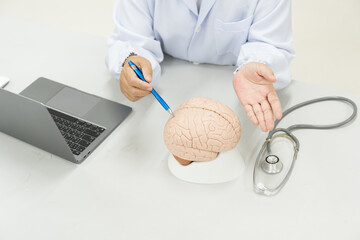 Neurologist hand pointing brain anatomy human model and brain disease lesion on white...