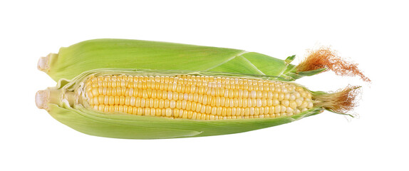 Corn isolated on transparent png