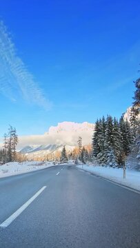 Nature, winter trip, POV drive on a mountain road, evergreen trees, snow-cover, vertical short video