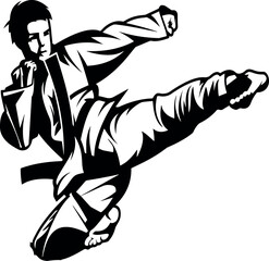 martial art karate kick silloute in detailing flying kick