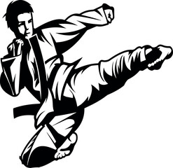 martial art karate kick silloute in detailing flying kick © Effective Arts