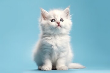 Fluffy white kitten on light blue background with copy space. Generative AI