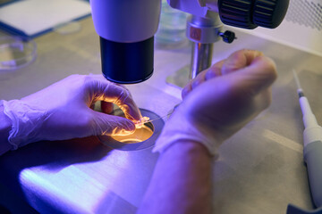 Biolaboratory technician adding samples after studying to test-tube