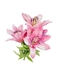 Bouquet of pink lilies,watercolor illustration 