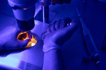 Genetic laboratory researcher adding biopsy material into test tube