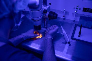 Reproductive laboratory worker carefully cultivating embryos in clinic