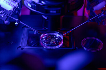 Embryologist removing few cells from outer layer of embryo
