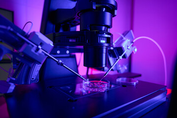 Embryo tests in reprudoctology laboratory in clinic