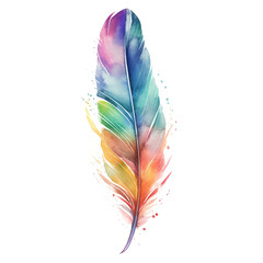 Colorful feathers watercolor style, PNG background