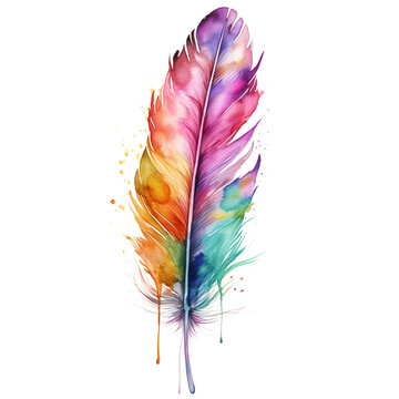 Colorful feathers watercolor style, PNG background